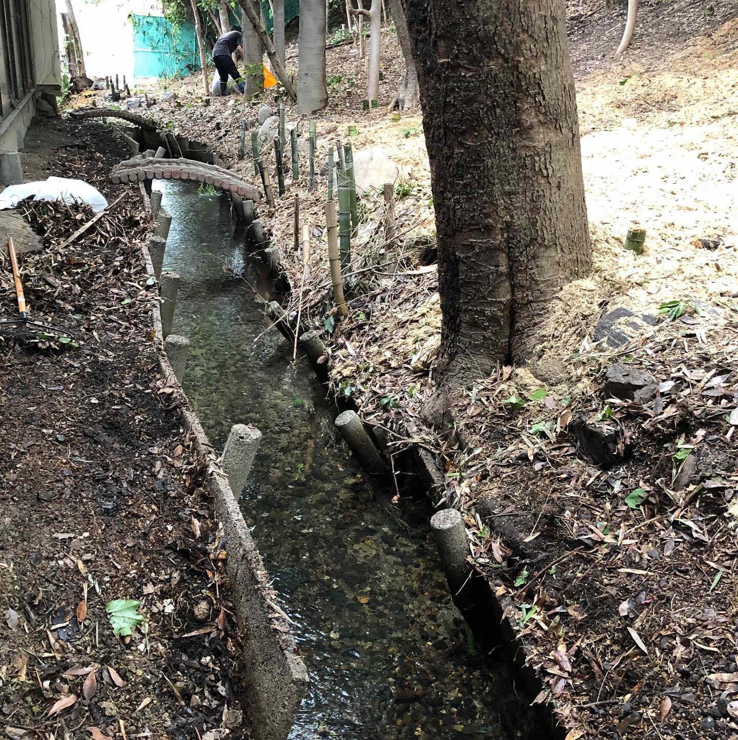 第十五話 街中を流れる農業用水の話し