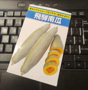カボチャ