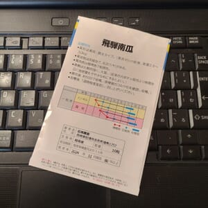 カボチャ