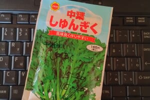 中葉春菊の種の袋