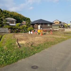 抜根が終了した土地