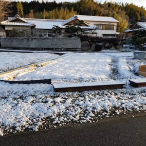 植え付け前の2月中旬の畑の様子